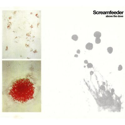Screamfeeder - Above the Dove