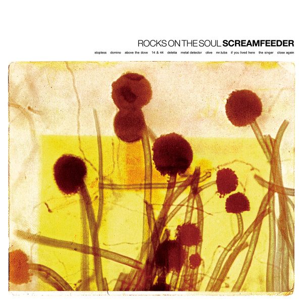 Screamfeeder Rocks on the Soul