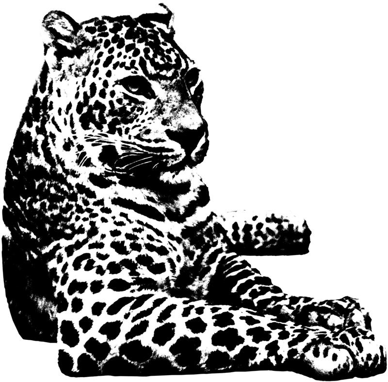 bio-leopard-medium
