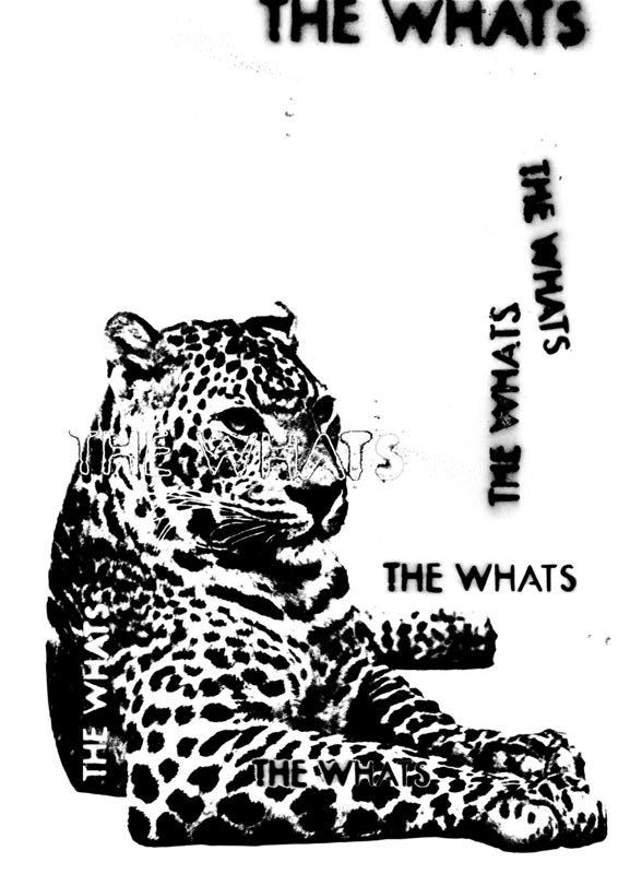 envelope-graphic-medium