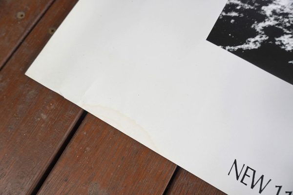 Screamfeeder Burn Out Your Name Vintage Posters